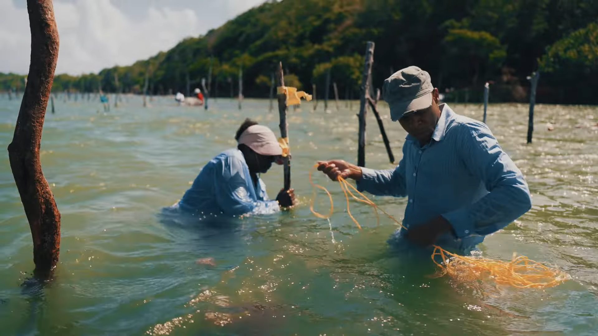 Sea moss farmer paa Saint Lucia, fra videoen A Day in the Life